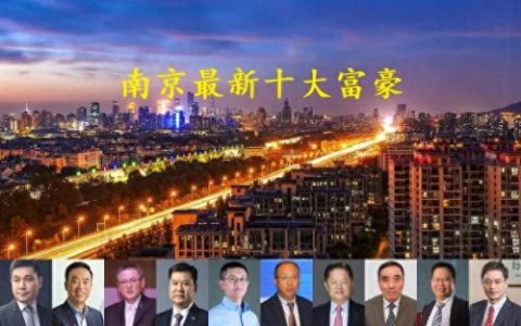 南京十大企业家排行榜(南京十大软件公司排名)