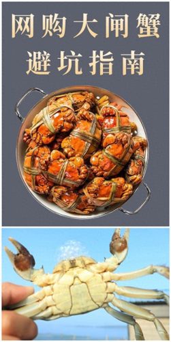 大闸蟹品牌排行(中国大闸蟹十大品牌)插图