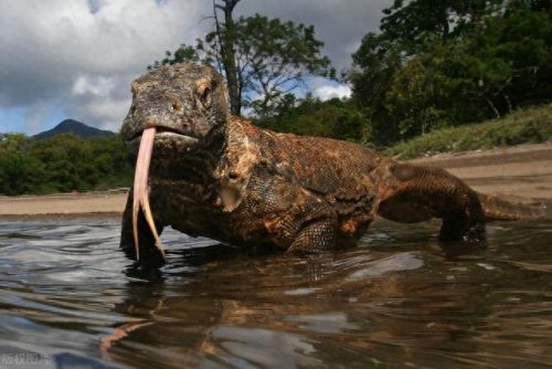 世界生物大小排名前十(中国十大生物公司排名)插图5
