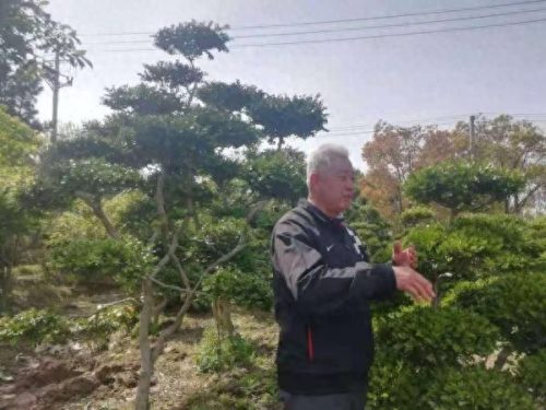 上海遮阳网厂家排名前十(遮阳网质量排行榜)插图2