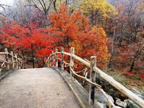 辽宁丹东旅游(辽宁本溪旅游)插图18