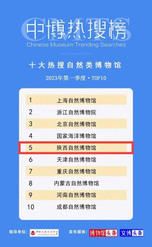 陕西博物馆收入排名前十(陕西博物馆开放至今的收入)插图1