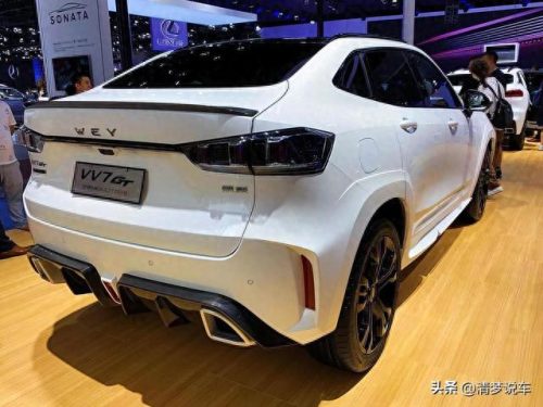 中国十大最好的豪车排行榜(迈巴赫十大豪车)插图1