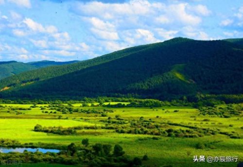 世界最美森林公园排名前十(十大森林公园排行榜)插图33
