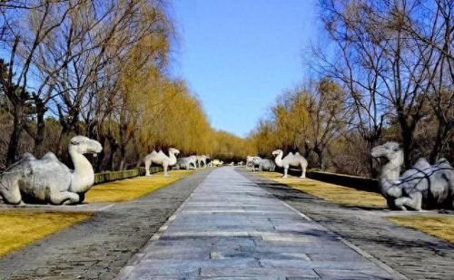 北京最好玩的地方(北京好玩的地方)插图50