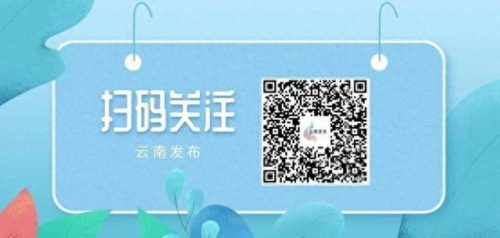 蒙自留学咨询公司排名前十(比较出名的留学咨询公司排名)插图6