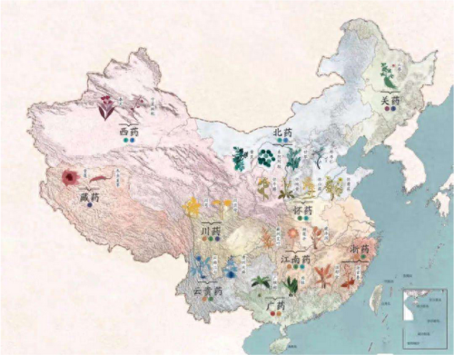 中国中药十大名牌排行榜(中国中药前十排名)插图