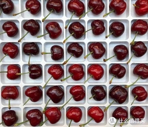 测厚卡尺十大品牌排行榜(品牌卡尺排行榜)插图8