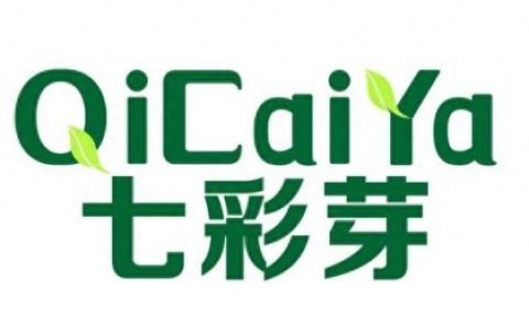 十大童装品牌排名(童装品牌加盟排行榜前十名)