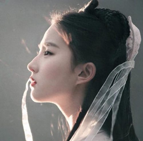 中国女明星十大鼻子排行榜(中国鼻子最美的十大女星)插图7