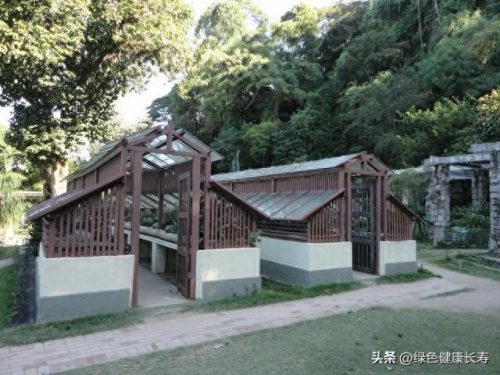 世界十大最美植物园排行榜(中国十大最美植物园)插图22