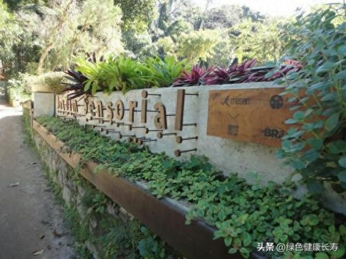 世界十大最美植物园排行榜(中国十大最美植物园)插图25