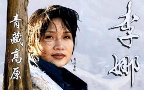 歌曲好听歌手排名前十(和童丽一样好听的歌手)