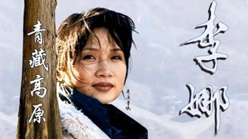 歌曲好听歌手排名前十(和童丽一样好听的歌手)插图