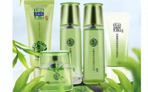 中国护肤用品排名前十(中国洗护用品排名)