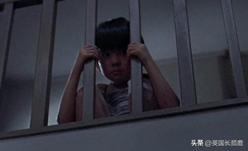十大恐怖片排行榜2021(十大恐怖片完整排行)插图72