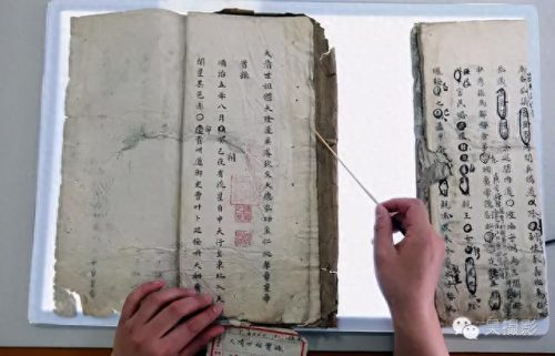 天津十大名药排行榜图(天津十大中成药)插图29