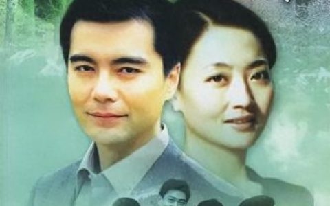 电视剧一年又一年(一年又一年大结局是什么)