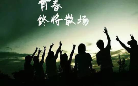 夏普sh0902c手机怎么样(夏普sh7228u手机怎么样)