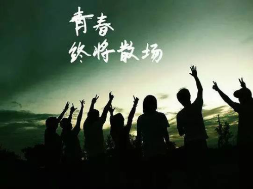 夏普sh0902c手机怎么样(夏普sh7228u手机怎么样)插图
