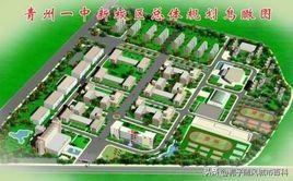 安丘和平初中排名前十(安丘最好的初中排名)插图8