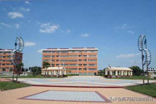 安丘和平初中排名前十(安丘最好的初中排名)插图3