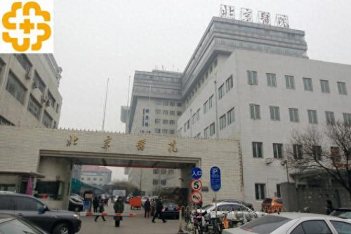 中国医院试验室排名前十(第三方医学实验室排名)插图39
