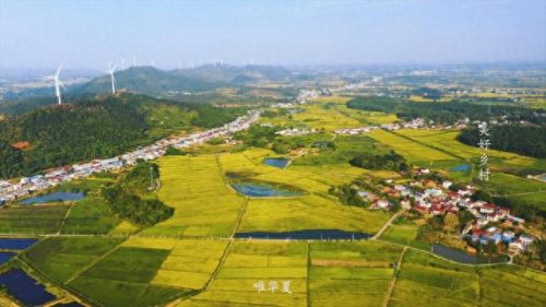 湖北未来十大县城排行榜(湖北大悟县十大首富)插图1