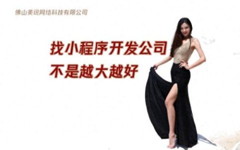 小程序公司(免费下单小程序)