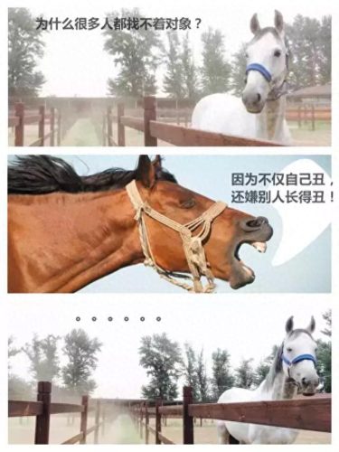 辩论赛中噎死对方的话(一句噎死对方的神回复)插图6