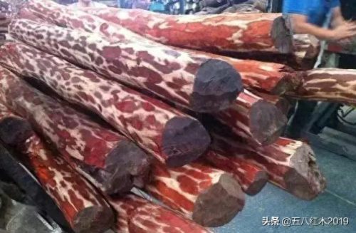 红木家具木料销量排名前十(缅甸红木木料批发)插图9