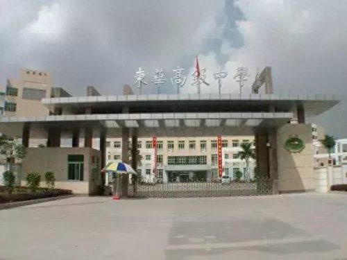 东莞龙岗的小学排名前十(凤岗的小学排名一览表)插图36