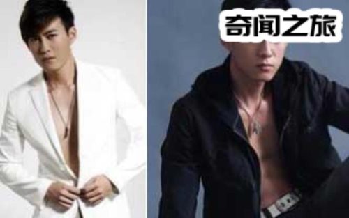王骏毅代表作有(王愿坚的代表作有)插图