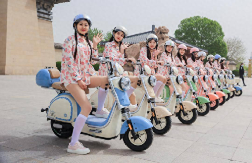 十大巅峰电动车排行榜(电动车载重王十大品牌)插图3