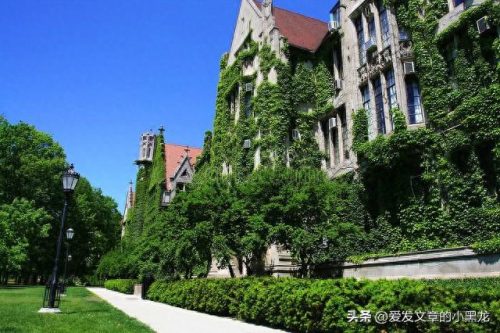 全球最大的大学排名前十(十大世界大学排名榜)插图8