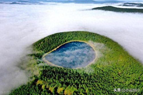 世界最美森林公园排名前十(十大森林公园排行榜)插图29