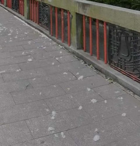 杭州推拿科医生排名前十(杭州最好的推拿医生)插图