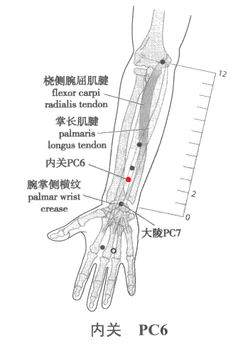 十大算命软件排行榜有哪些(免费算命软件排行)插图5