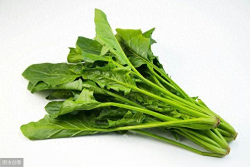 十大瘦脸食材排行榜(瘦脸最快的十大食物)插图
