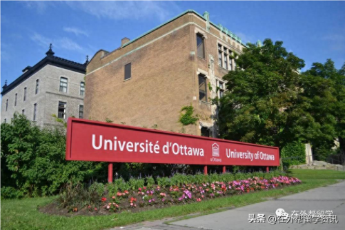 加拿大留学规划书排名前十(加拿大留学药品清单)插图9