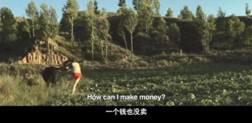 农村电影喜剧(农村电影)插图9