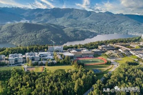 加拿大留学规划书排名前十(加拿大留学药品清单)插图14