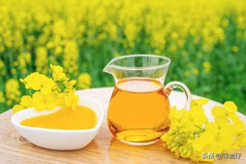 2022压榨油十大品牌排行榜(2021食用油十大品牌)插图1
