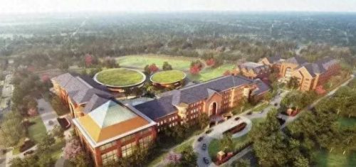 东莞龙岗的小学排名前十(凤岗的小学排名一览表)插图30