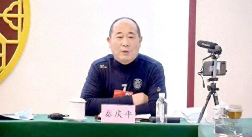 中国最大的材料厂排名前十(中国最大硅矿排名)插图7