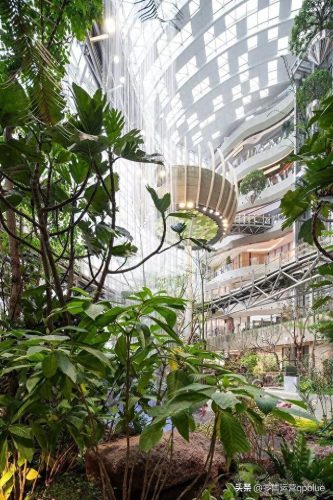 重庆市十大商场排行榜(晋城十大商场排名)插图8