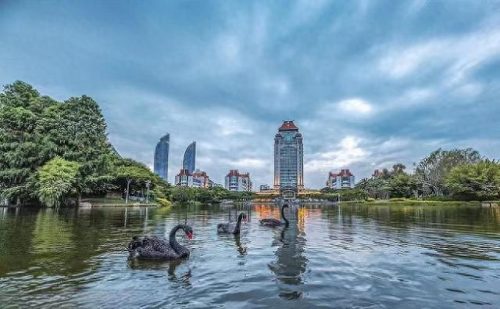 去厦门必去的地方排名前十(厦门市区必去的地方)插图7