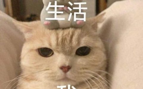 痛苦排名前十手术视频(打呼噜手术痛苦吗)