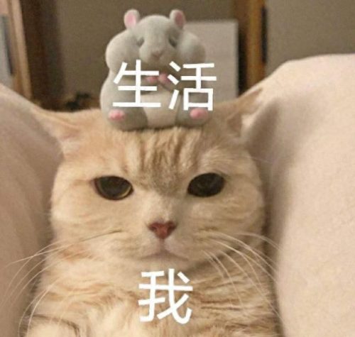 痛苦排名前十手术视频(打呼噜手术痛苦吗)插图