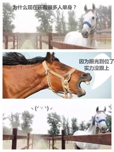 辩论赛中噎死对方的话(一句噎死对方的神回复)插图10